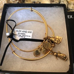 Alex and Ani double bangle